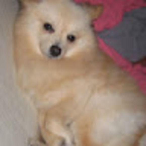 Meet your Posher, Marie - Picture 1 of 1